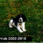 Lilly Frisk .2002-2015